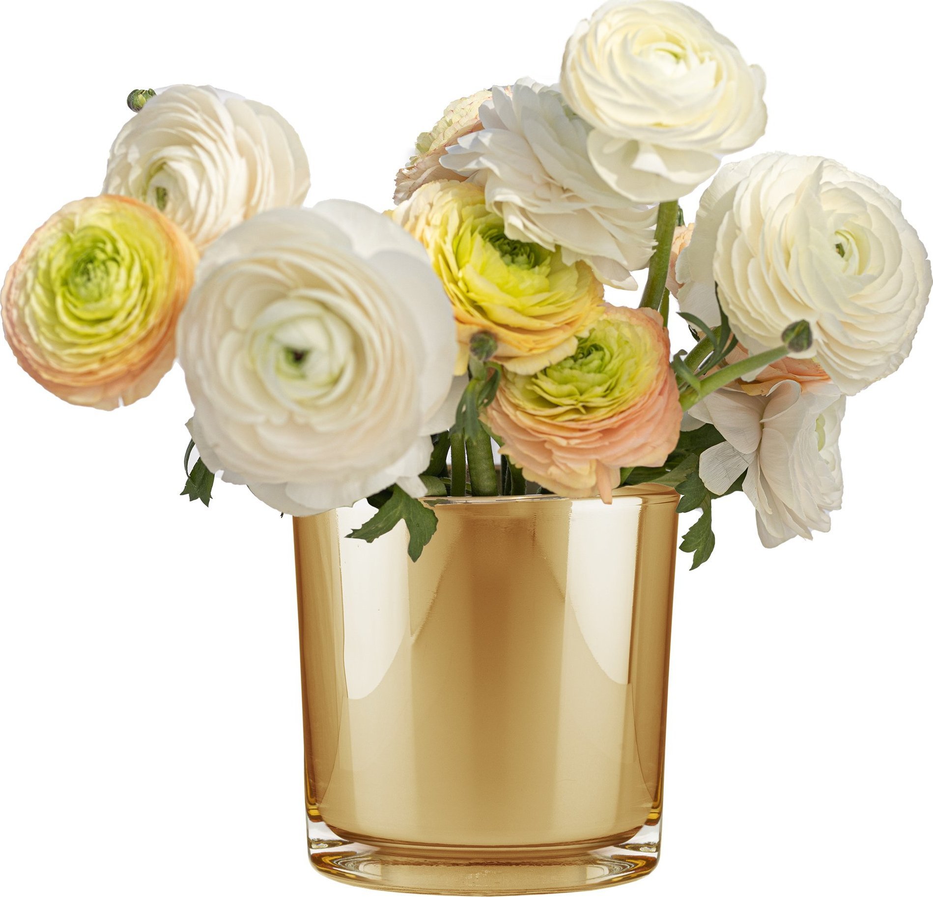 Trend Glass Wazon, osłonka na doniczkę, pojemnik dekoracyjny Crocus Golden Chic