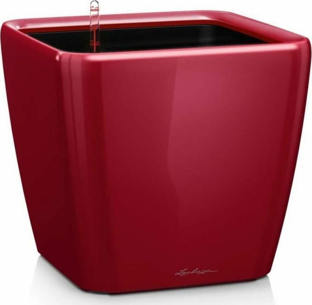 Lechuza Vazonas Lechuza Quadro LS 50, įv. spalvų