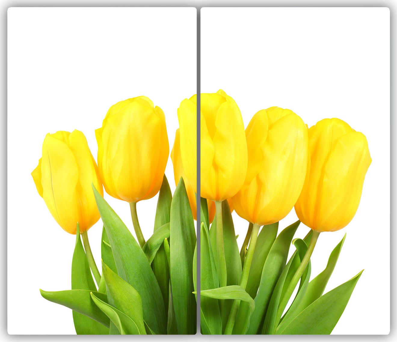 Deska do krojenia Tulup szklana Żółte tulipany 1 52x30cm 2szt.