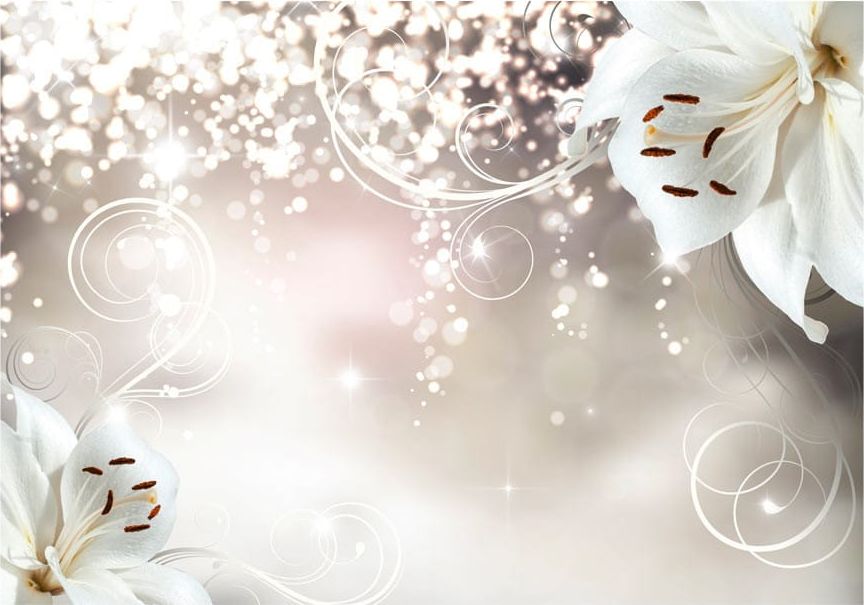 DecoNest Fototapeta - Zaczarowana kompozycja - 150X105