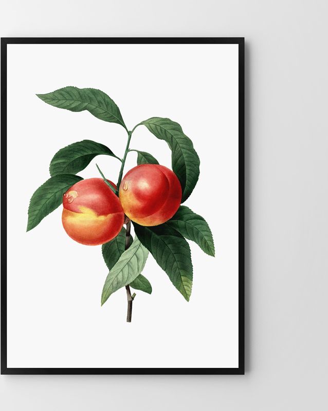 Hog Studio Brzoskwinia vintage (B2 (50x70cm))