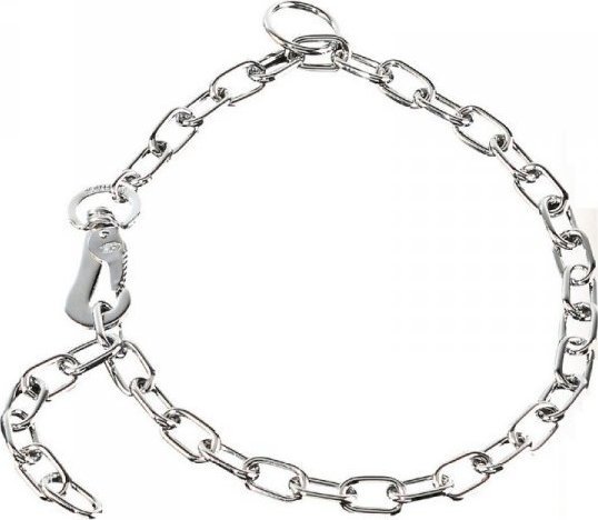 HS Sprenger Obroża dla psa Hs Sprenger Srebrzysty 3 mm Ogniwa Krótkie (50 cm)