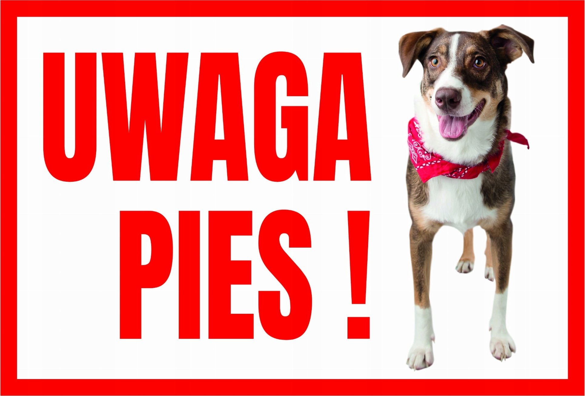 Mój dom Uwaga Pies ! Terrier - Tabliczka Ostrzegawcza Libres Polska Sp Tup-3 5902082237433