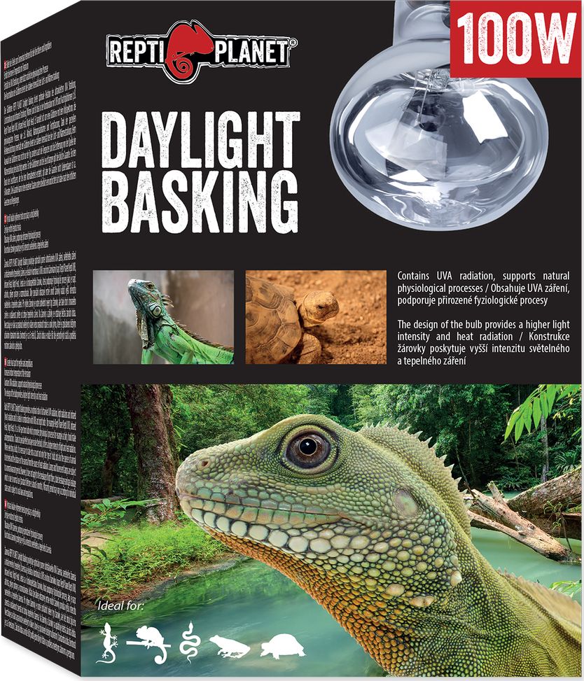 REPTI PLANET RP ZAROWKA DAYLIGHT BASKING SPOT 100W 41004