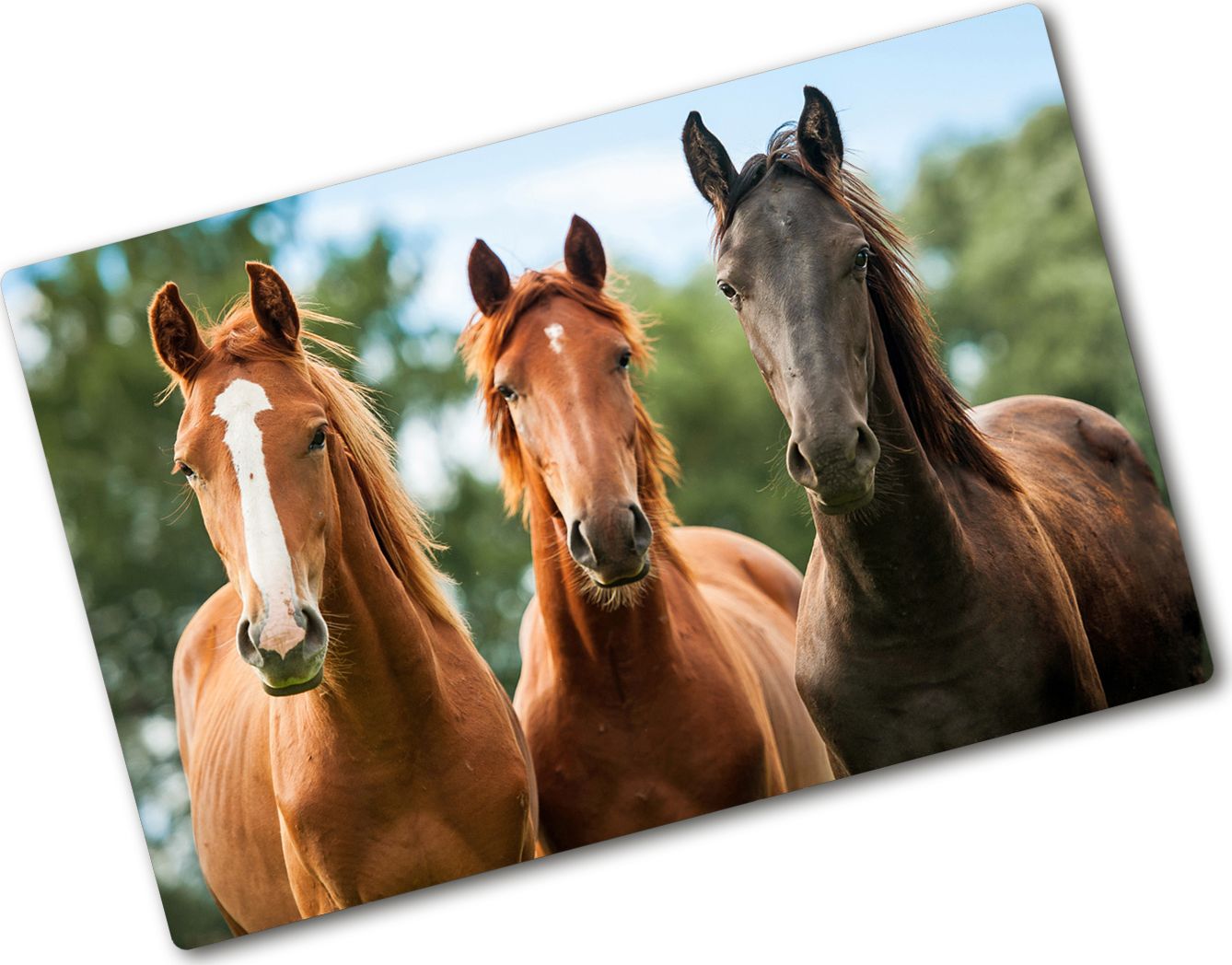 Deska do krojenia Tulup szklana Trzy konie 4 80x52cm