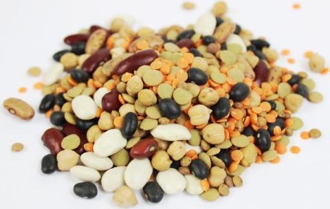 HORECA - SUROWCE MIX STRĄCZKOWYCH BIO (SUROWIEC) (25 kg) 2