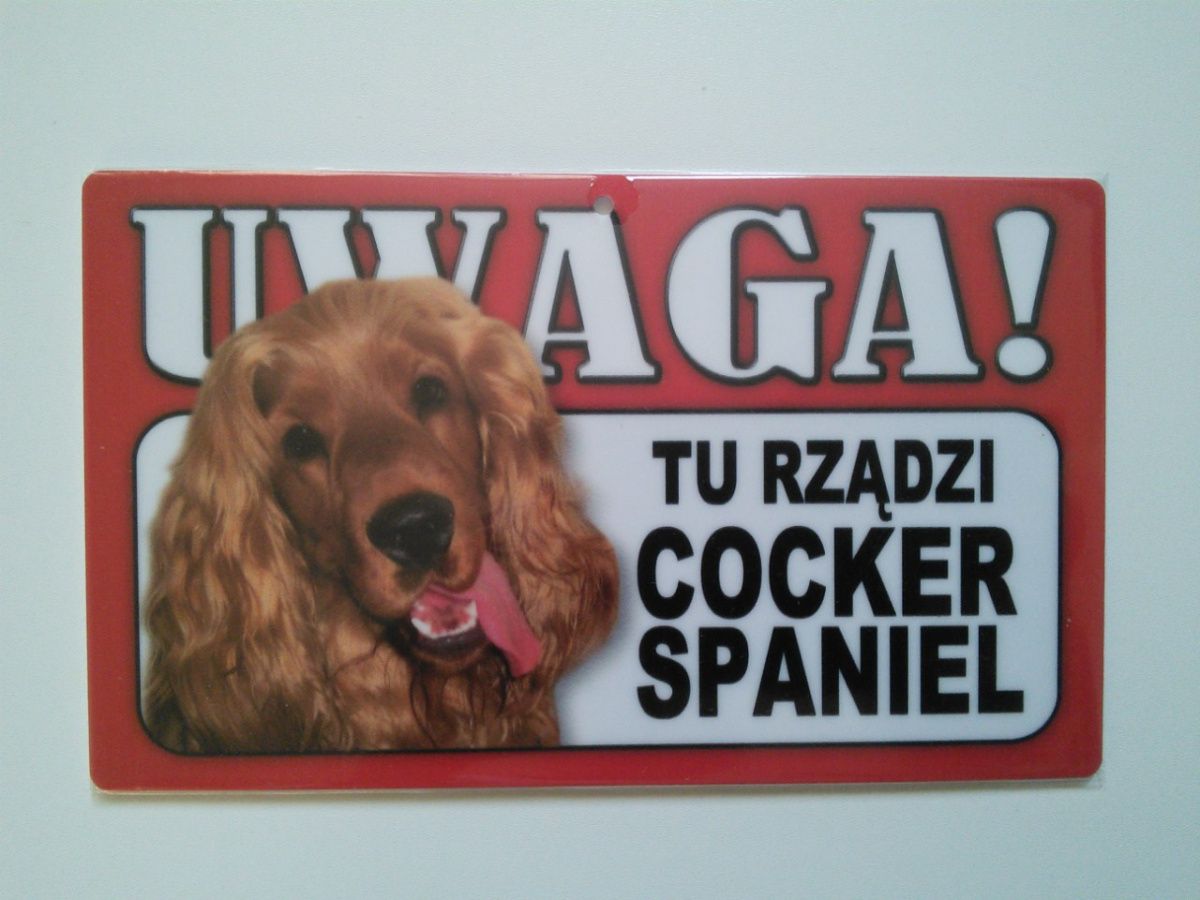 Power Gift Tabliczka ostrzegawcza PVC