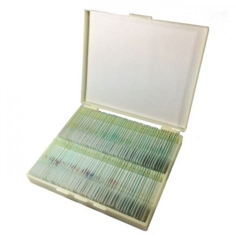 Preparaty mikroskopowe 100 szt. (anatomia, botanika, zoologia)