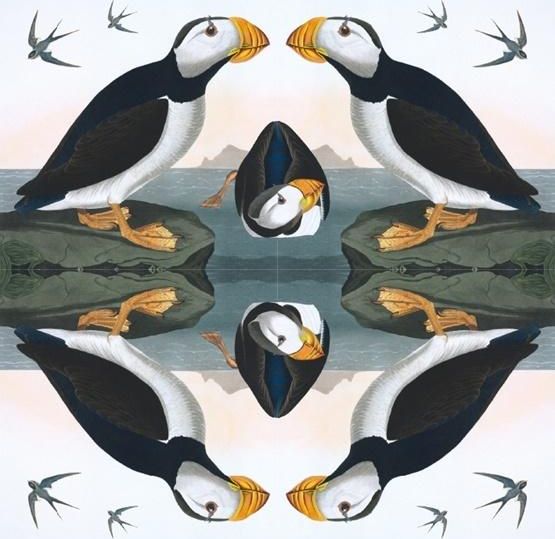 Museums & Galleries Karnet kwadrat z kopertą Horned Puffin