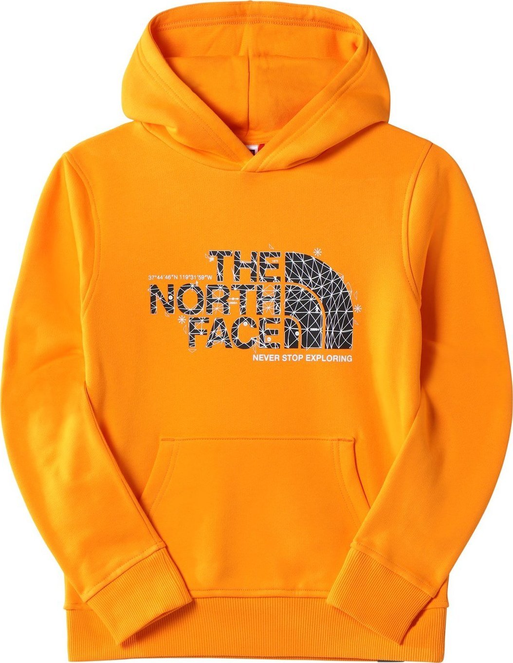 The North Face Bluza z kapturem The North Face TEENS DREW PEAK P/O Dziecięca L