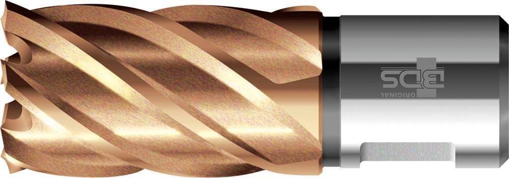 Wiertło BDS do metalu HSS Weldon 38,00 mmmm