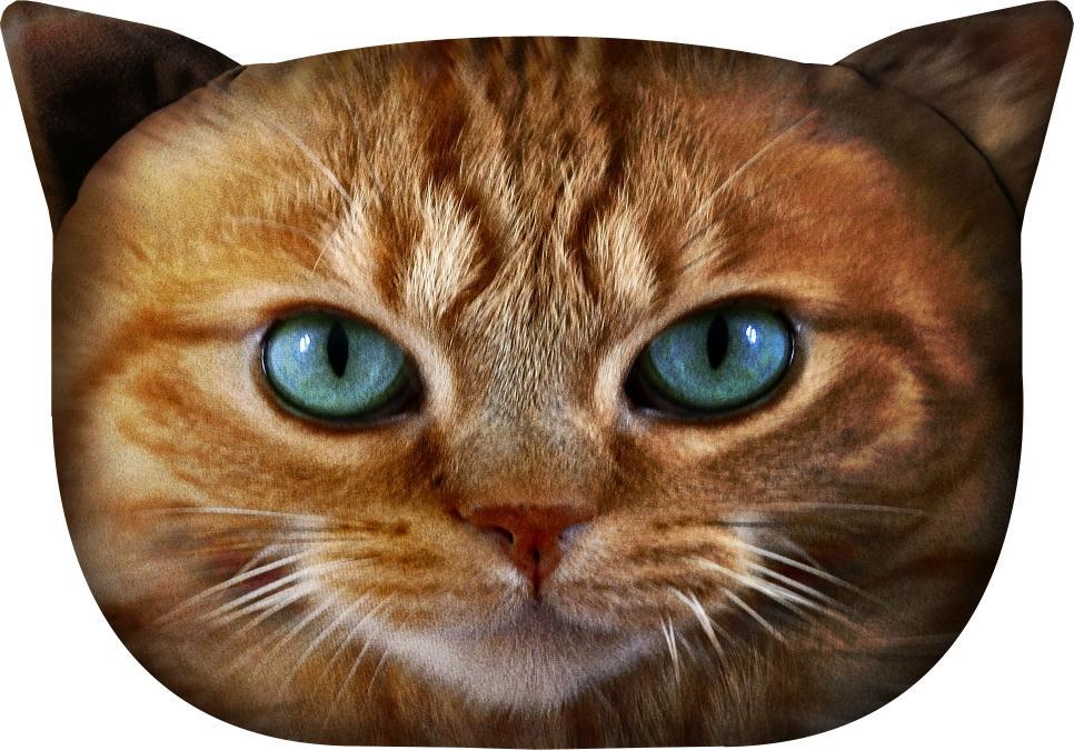 Bertoni-arco Poduszka koty - BENEK