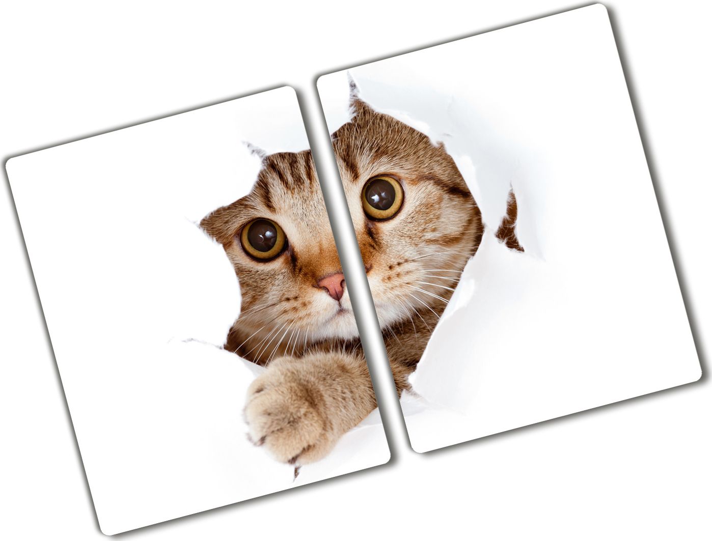 Deska do krojenia Tulup szklana Kot 2 52x2szt.