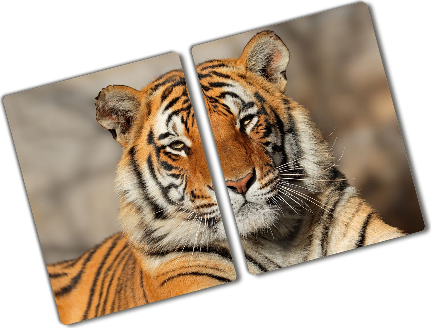 Deska do krojenia Tulup szklana Tygrys bengalski 4 52x2szt.