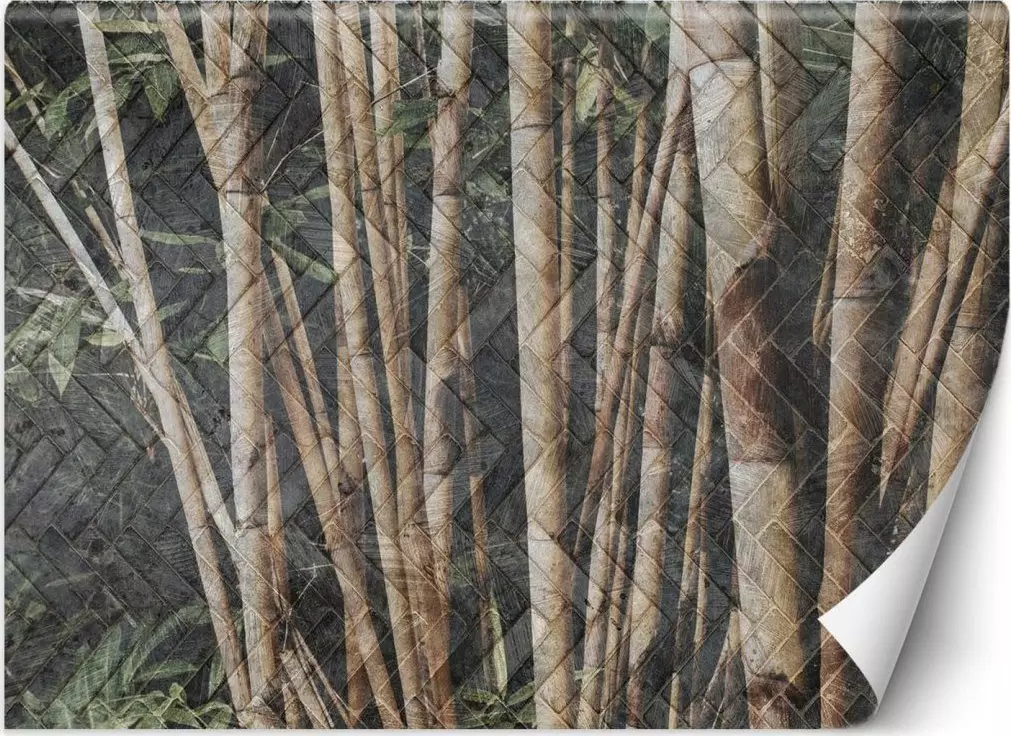 Feeby Fototapeta, Bambusowy las - 400x280