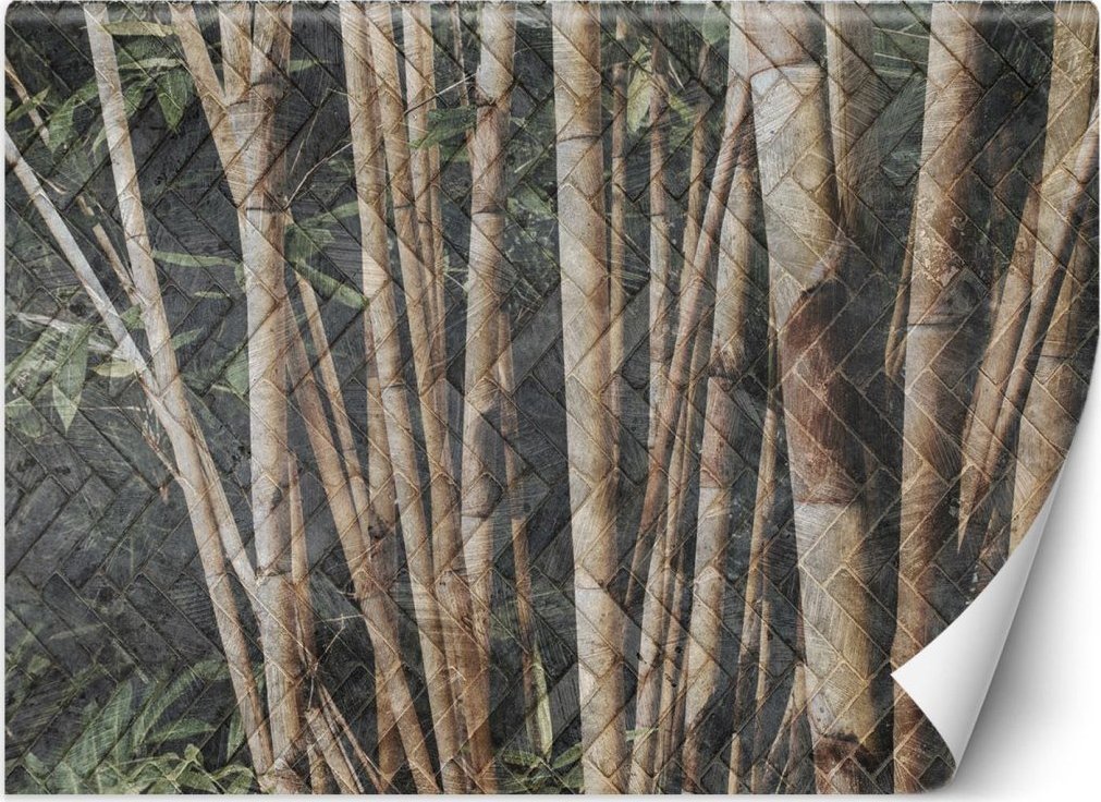 Feeby Fototapeta, Bambusowy las - 400x280