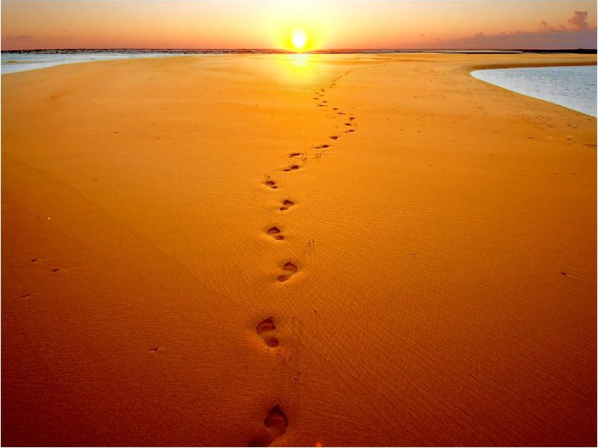 DecoNest Fototapeta - Ślady stóp na piasku - 350X270