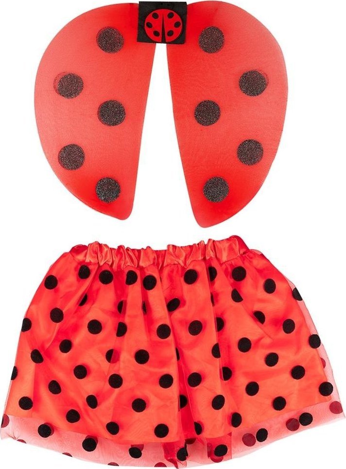 Zestaw biedronki skrzydełka spódniczka