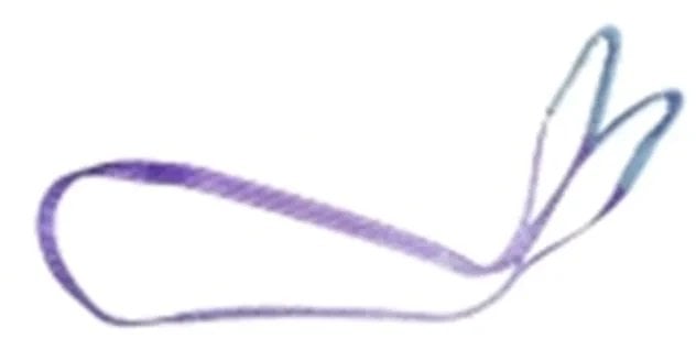 Target Ladungssicherung 90501 Løftebånd Arbejdsbelastning (WLL)=1 t Violet