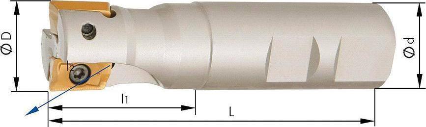 Ghring Frez trzpieniowy 90, 2-ostrz., z chlodz.wewn.,D25mm do APKT16