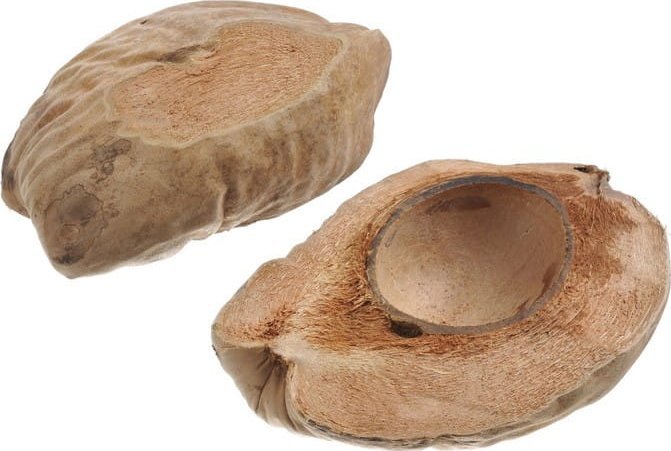 Bioterr BioCoco Bowl Miska kokosowa na pokarm