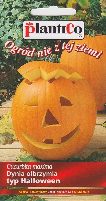 Plantico Dynia Olbrzymia Big Max Typ Halloween 2g