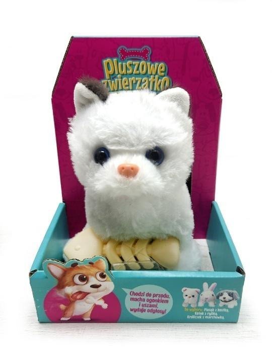 Kotek chodzący z rybką