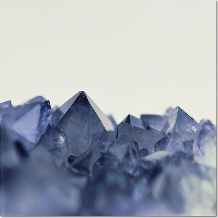 GO-BI Obraz uniwersalny