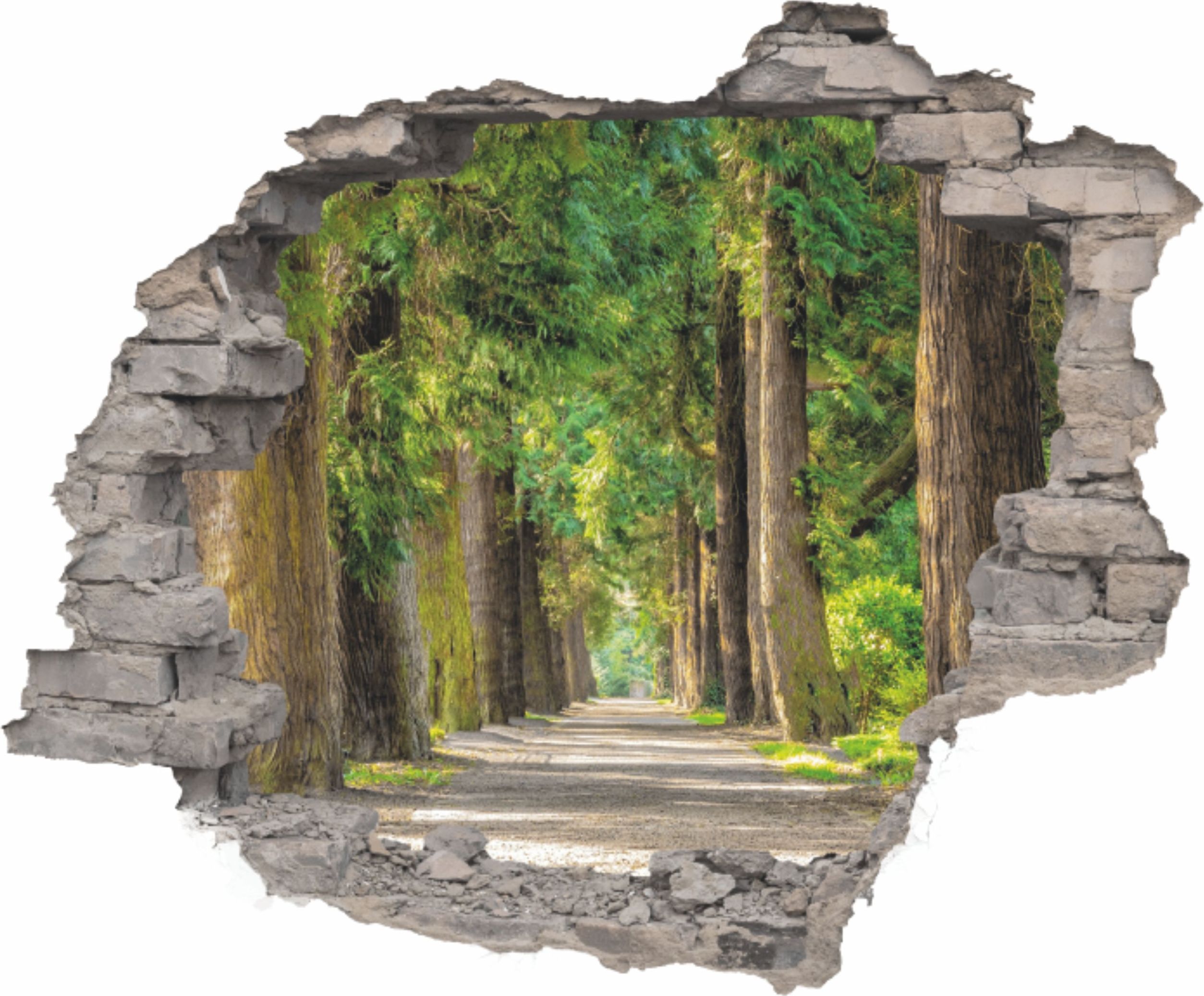 E-druk Naklejki na ścianę Cegła z widokiem 3D 100x70