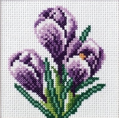 Haft krzyżykowy - Krokusy