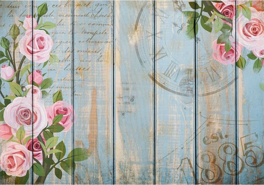 DecoNest Fototapeta - Vintage garden - 350X245