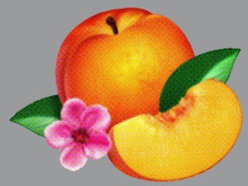 Pop Phoenix Bankrupt!