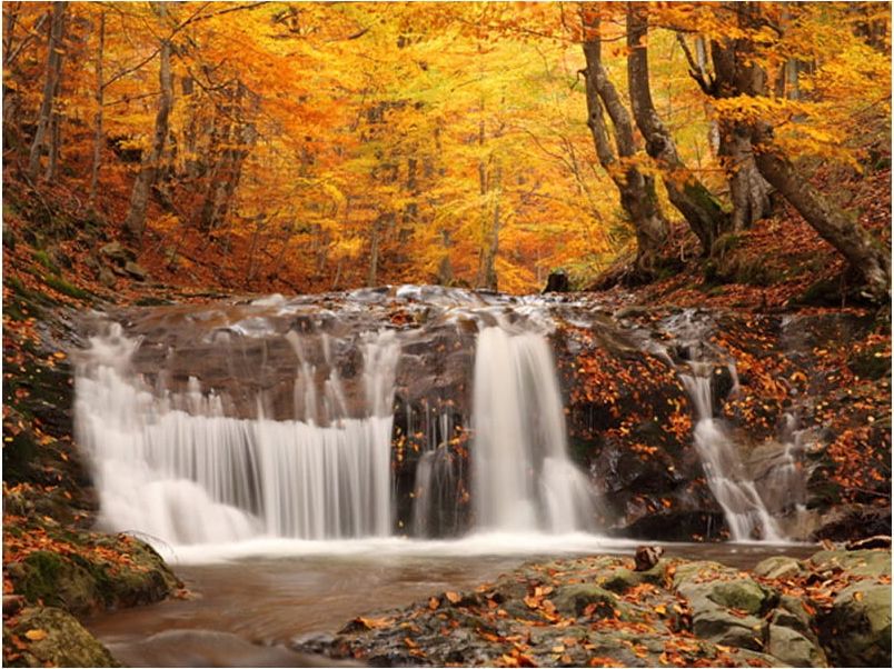 DecoNest Fototapeta - Autumn landscape : waterfall in forest - 300X231