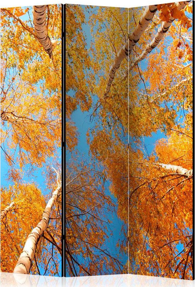 Artgeist Parawan 3-częściowy - Jesienne korony drzew [Room Dividers] uniwersalny