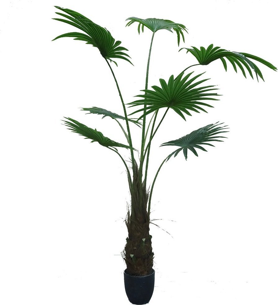 Selsey SELSEY Sztuczny kwiat Ilitten Waszyngtonia robusta