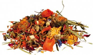 Trixie Pokarm dla agamy brodatej mix 100 g (TX-76265)