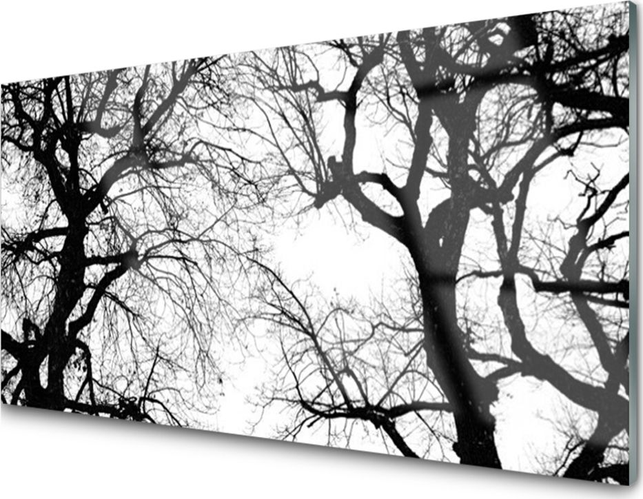 Tulup Obraz Akrylowy Drzewa Natura Czarno-Biały