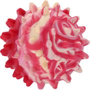 Sum Plast Piłka z kolcami 0 Sum Plast 3,5cm - 5901785370003