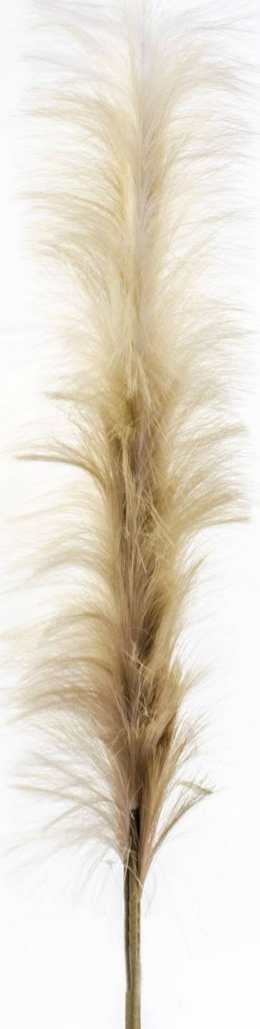 Tajemniczy ogród Trawa pampasowa beżowa 140cm