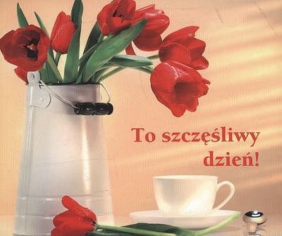 Perełka 134 - To szczęśliwy dzień!