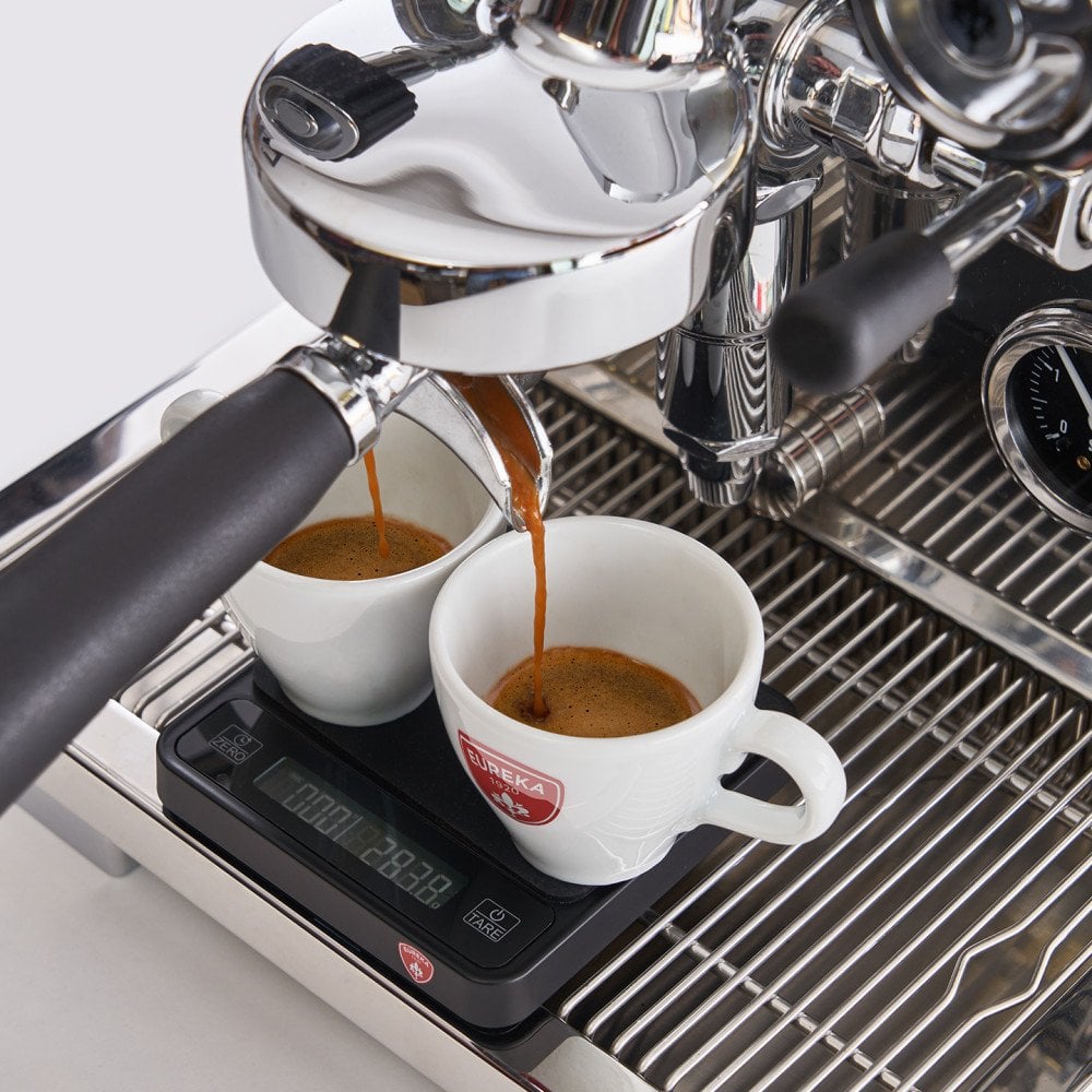 Ekspres ciśnieniowy Eureka Eureka - Pura - Ekspres kolbowy - Chrom