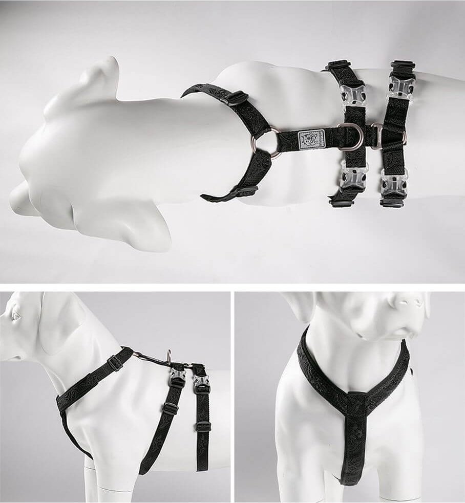 Winhyepet Szelki antyucieczkowe dla psa Winhyepet Escape Classic czarne XS