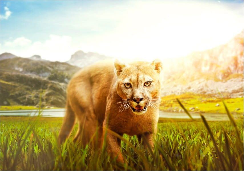 DecoNest Fototapeta - Watch out! - 200X140