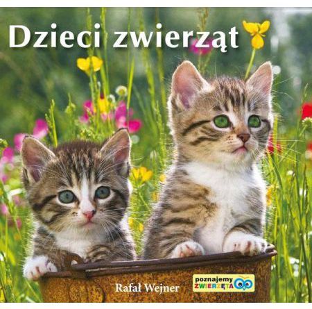 Poznajemy zwierzęta. Dzieci zwierząt (191209)