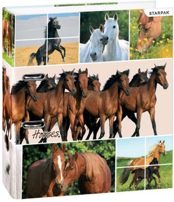 Segregator Starpak dźwigniowy A4 70mm (STK KONIA4)