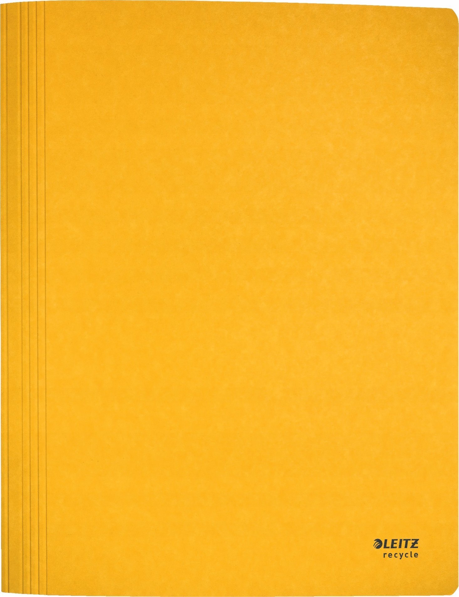 Leitz Teczka A4 z mech ��ta