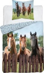 Detexpol Pościel bawełniana 160x200 KońKonie z konikami