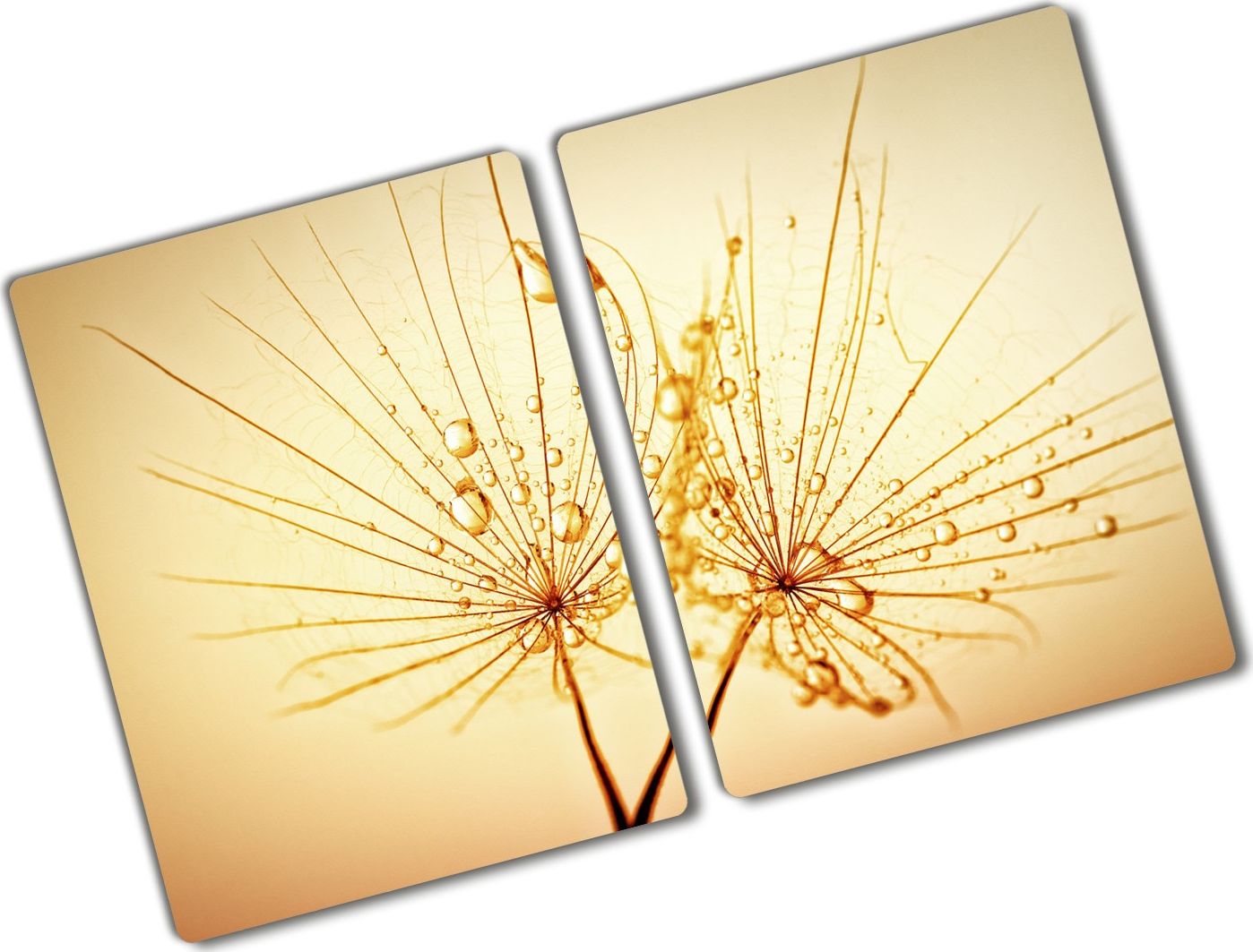 Deska do krojenia Tulup szklana 52x2szt.