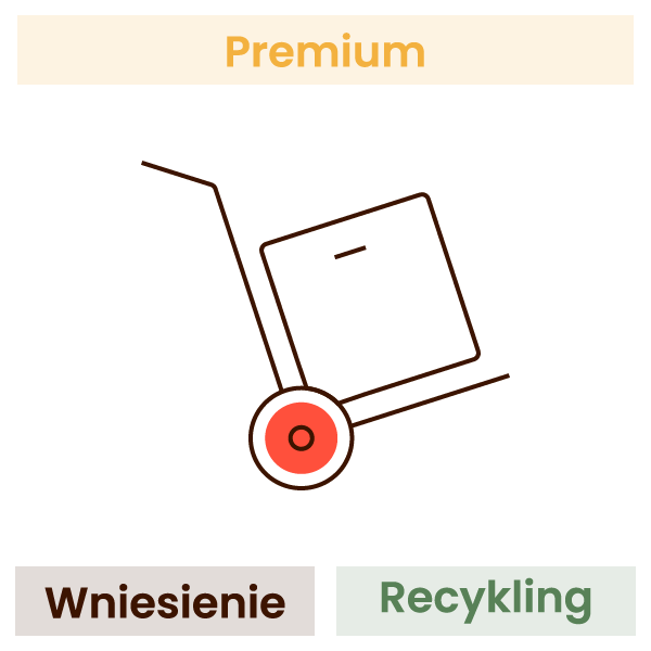 Wniesienie i rozpakowanie telewizora (dotyczy jednego wybranego towaru)