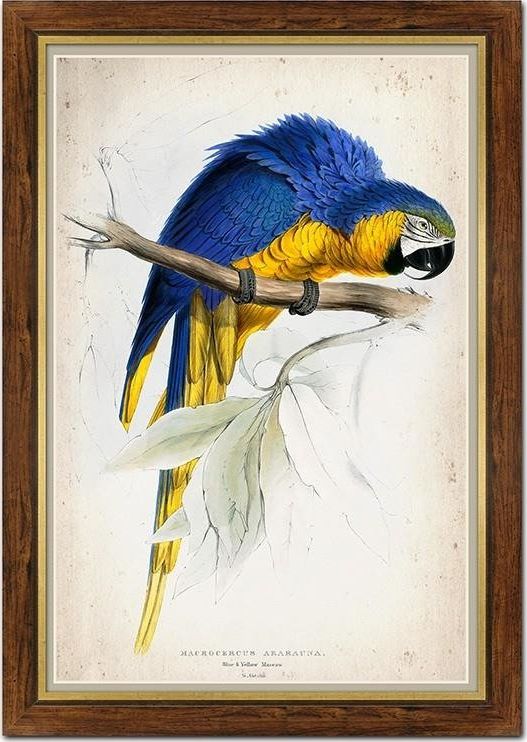 GO-BI Obraz - REPRODUKCJE NOWOŚCI 67x97cm